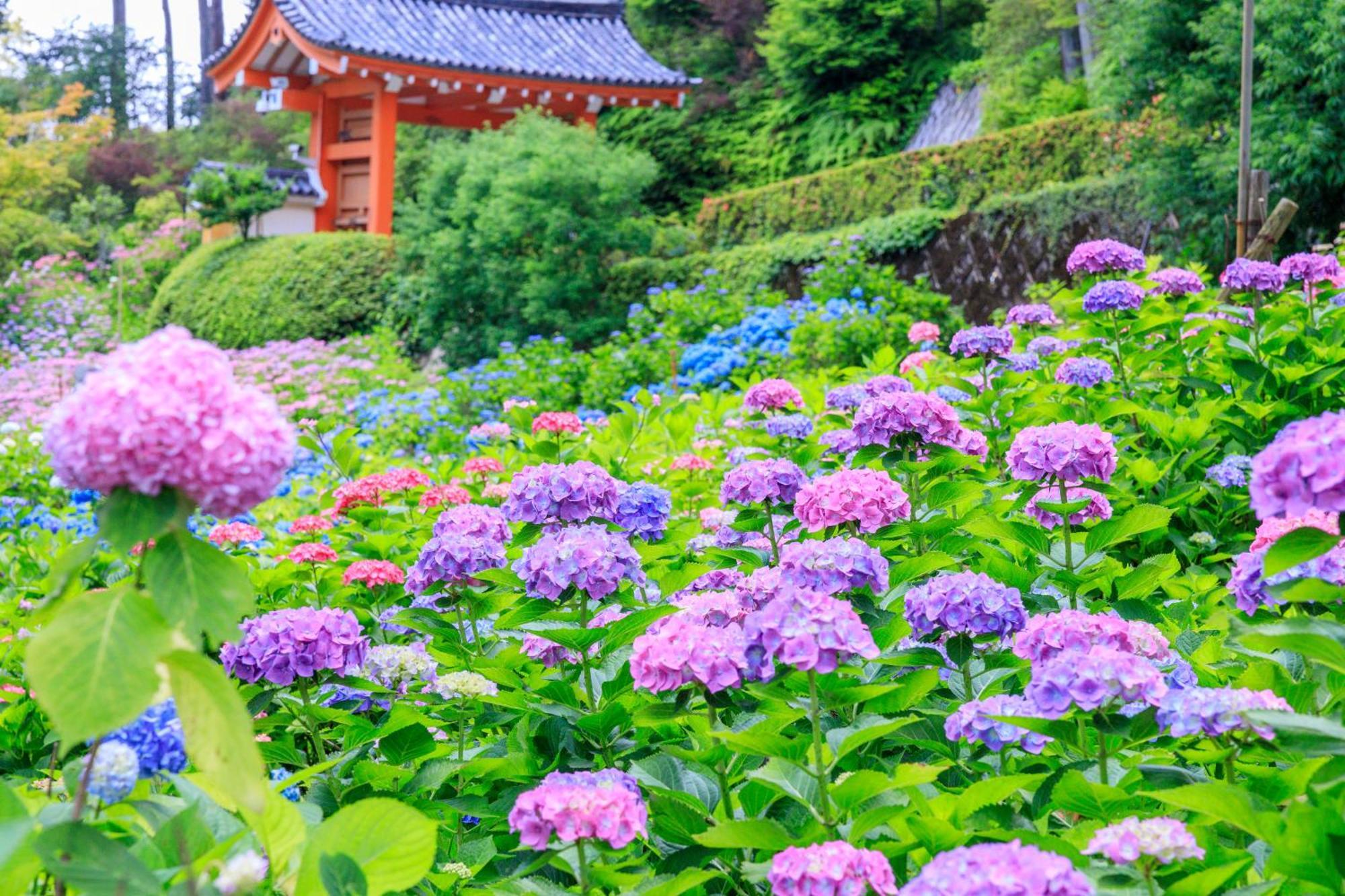 Mimaru Suites Kyoto Shijo Экстерьер фото
